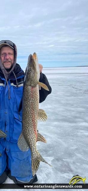 34" Northern Pike caught on Lake of the Woods