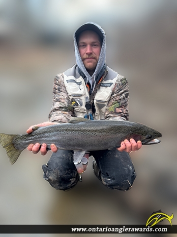 26" Rainbow Trout caught on Big Creek