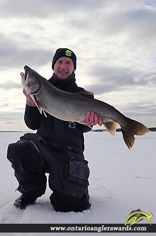 35.5" Lake Trout caught on Lake Ontario