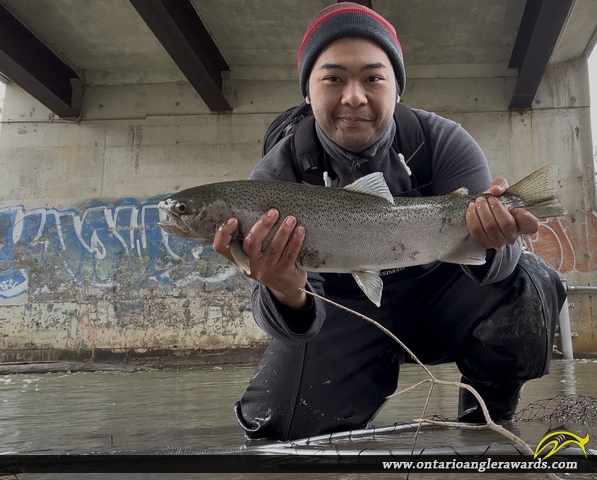23.5" Rainbow Trout caught on Oshawa Creek