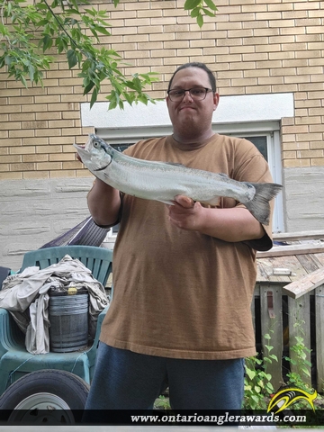 22.75" Rainbow Trout caught on Lake Erie