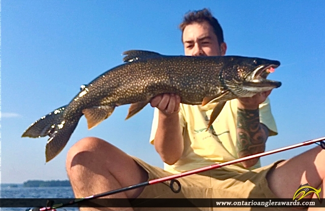 31" Lake Trout caught on Lake Muskoka