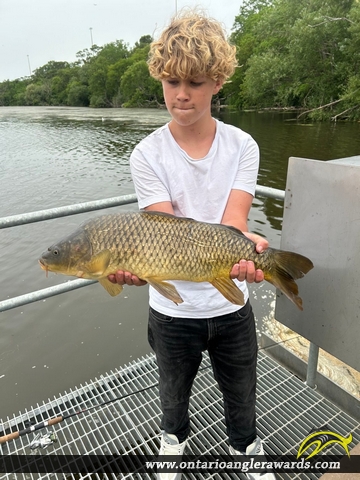 33" Carp caught on Lake Ontario 