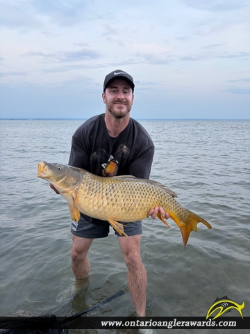 34" Carp caught on Lake Erie