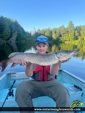 31" Northern Pike caught on Pine Lake 