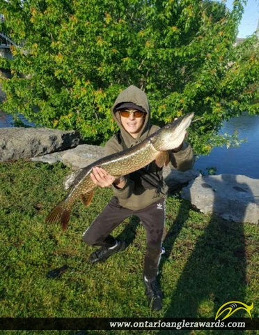 34" Northern Pike caught on Moira River 