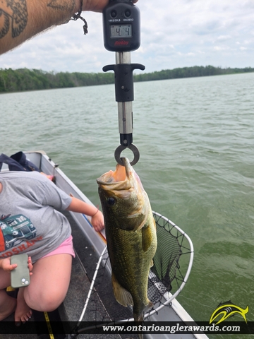 18" Largemouth Bass caught on Silver Lake