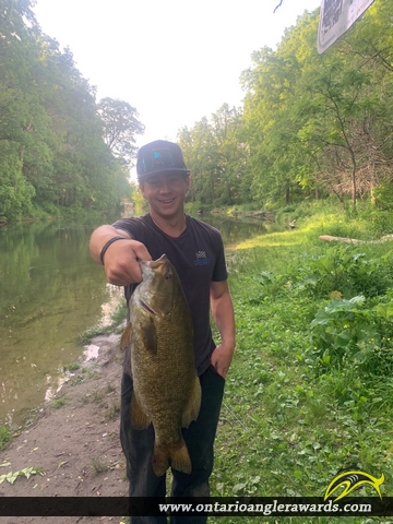 21.07" Smallmouth Bass caught on Sydenham River