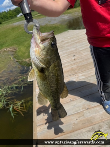 24" Largemouth Bass caught on Loyst Creek