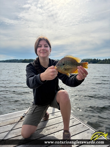 9" Pumpkinseed caught on Chesley Lake