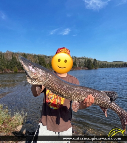 38.5" Northern Pike caught on The Lagoon