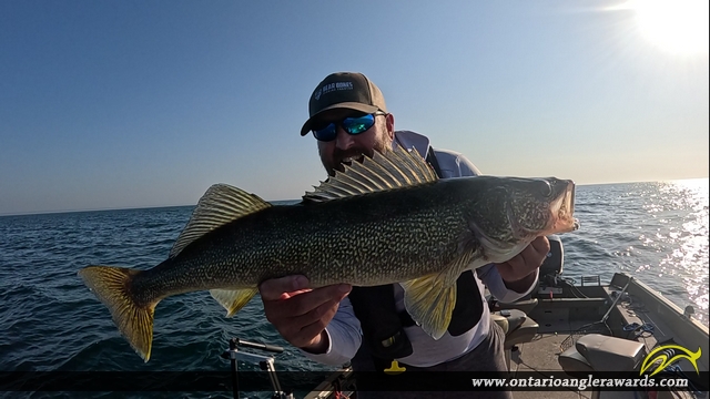 27.75" Walleye caught on Lake Erie