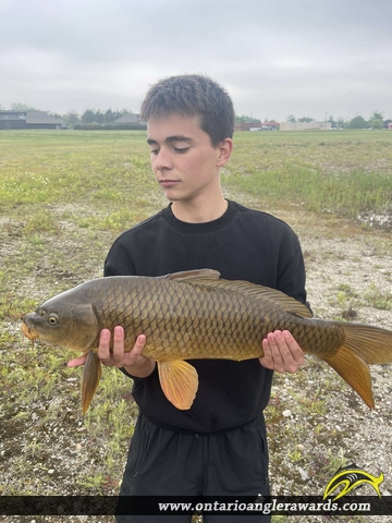 33" Carp caught on Thames River 