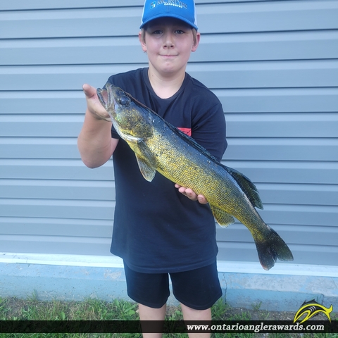 26.4" Walleye caught on Bonnechere River