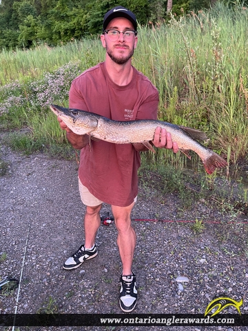 33" Northern Pike caught on Lake Gibson