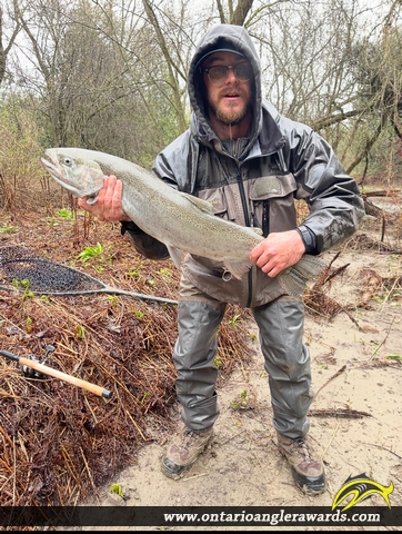 30" Rainbow Trout caught on Bowmanville Creek