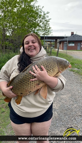 40" Carp caught on Ganaraska River
