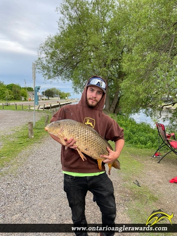 36" Carp caught on Ganaraska River