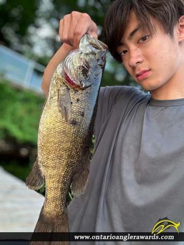 17.25" Smallmouth Bass caught on Buck Lake