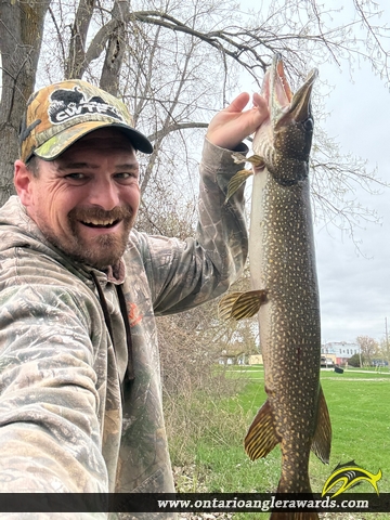34" Northern Pike caught on Bay of Quinte