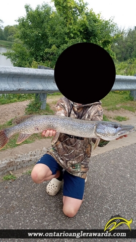 40" Northern Pike caught on Bowmanville West Side Marsh