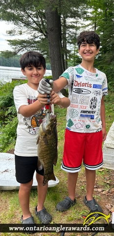 18.5" Smallmouth Bass caught on Lower Fry Lake