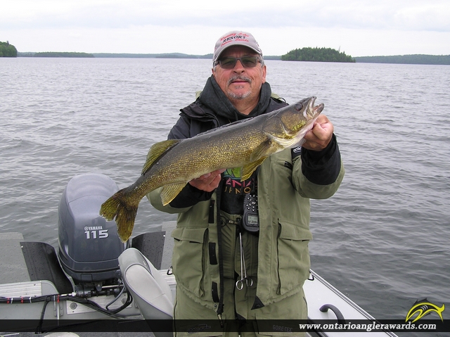 26" Walleye caught on Wawang Lake
