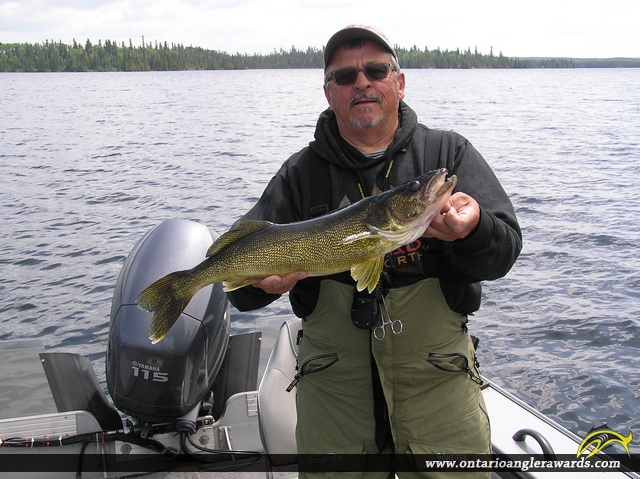 26.5" Walleye caught on Wawang Lake