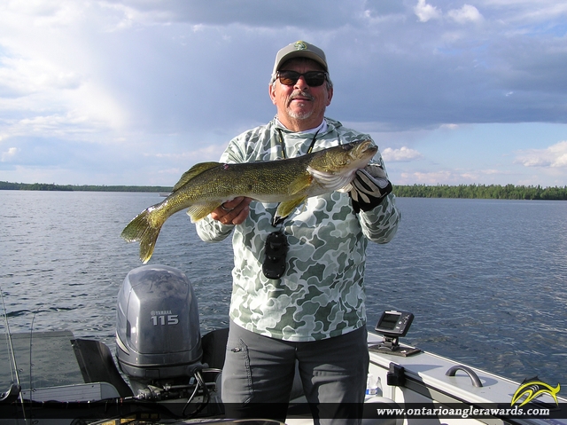 25.5" Walleye caught on Wawang Lake