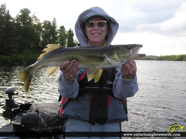 25.5" Walleye caught on Wawang Lake