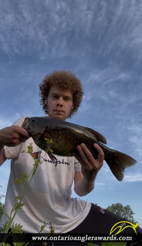 19.5" Smallmouth Bass caught on St. Lawrence River