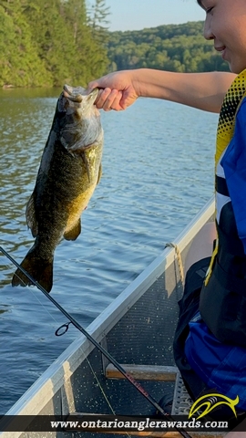 20" Smallmouth Bass caught on Esson Lake