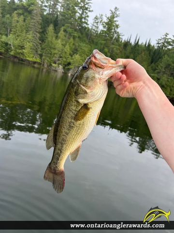 18" Largemouth Bass caught on Mephisto lake