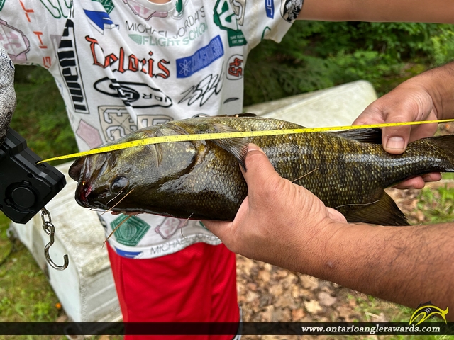18.5" Smallmouth Bass caught on Lower Fry Lake