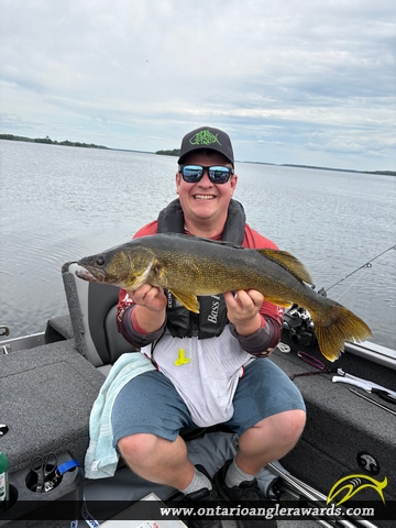 29.5" Walleye caught on Lake of the Woods 