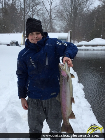 27.00" Rainbow Trout caught on Saugeen River