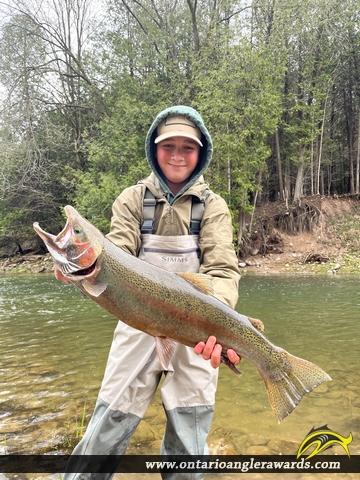 34" Rainbow Trout caught on Bayfield river