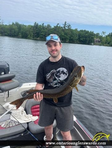 36" Northern Pike caught on Bobs Lake
