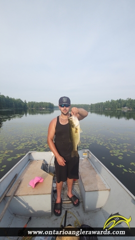 18" Largemouth Bass caught on Hurds lake 