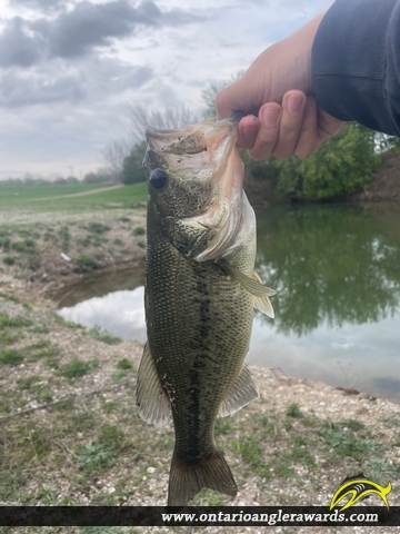 18.5" Largemouth Bass caught on Thames River 