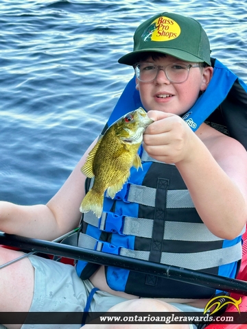 11" Rock Bass caught on Big Clear Lake