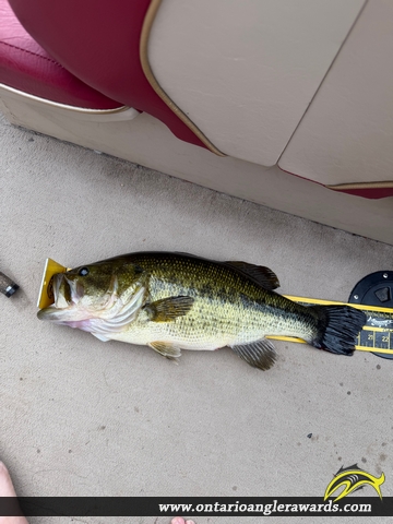 20" Largemouth Bass caught on Kennisis lake 