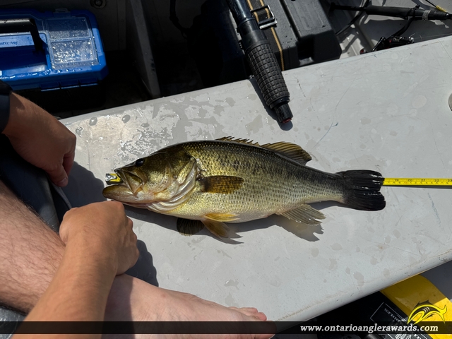 18" Largemouth Bass caught on Otty Lake