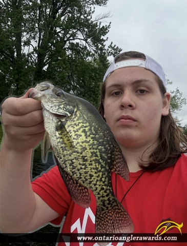 10.5" Black Crappie caught on Sparrow lake 