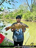 30.1" Carp caught on Thames River
