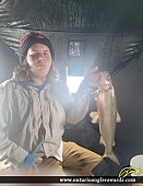 22.75" Whitefish caught on Lake simcoe
