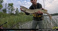 30" Northern Pike caught on Georgian Bay