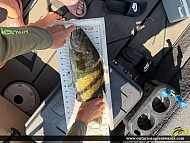 18" Smallmouth Bass caught on Lake of the Woods