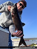 26" Lake Trout caught on Lake K