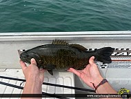 19.00" Smallmouth Bass caught on Lake Huron
